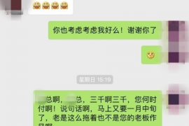 双辽为什么选择专业追讨公司来处理您的债务纠纷？